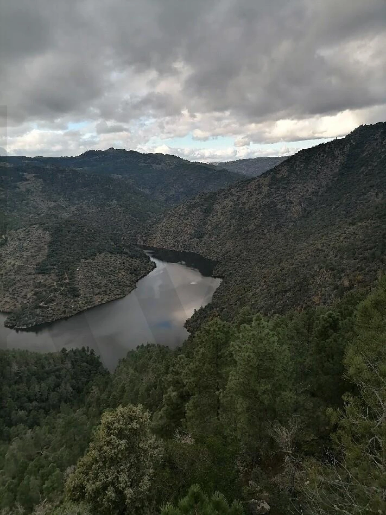 Terreno para Venda em Castanheiro do Norte e Ribalonga Foto 8