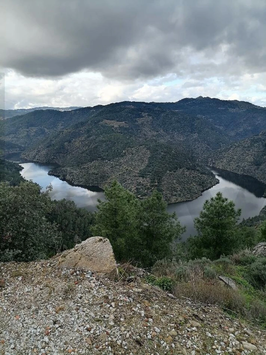 Terreno para Venda em Castanheiro do Norte e Ribalonga Foto 1