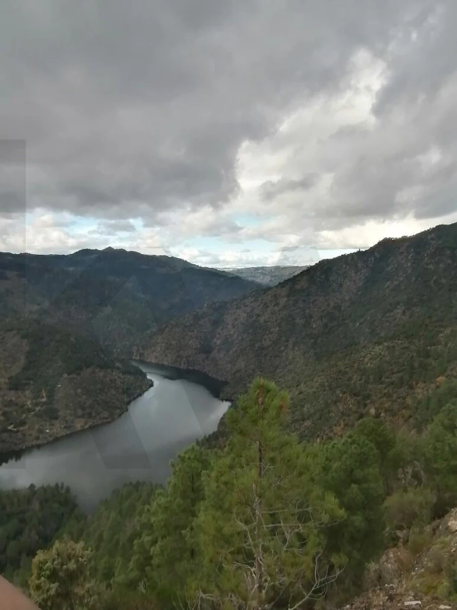 Terreno para Venda em Castanheiro do Norte e Ribalonga Foto 9