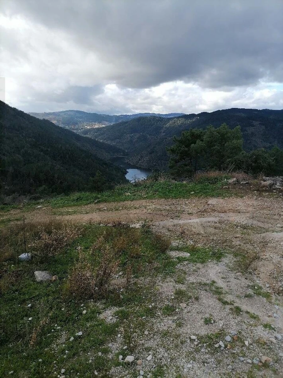 Terreno para Venda em Castanheiro do Norte e Ribalonga Foto 2