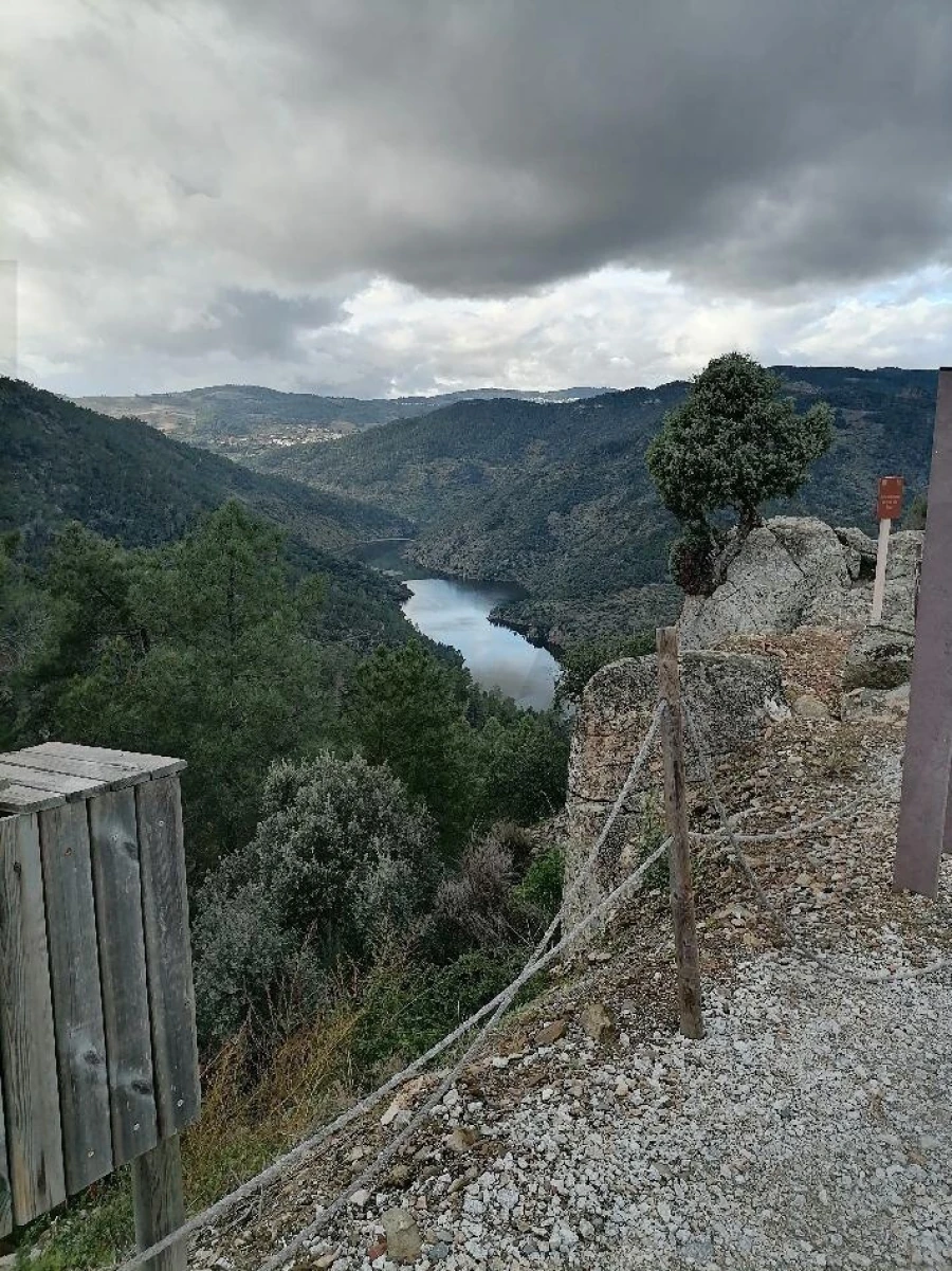 Terreno para Venda em Castanheiro do Norte e Ribalonga Foto 4