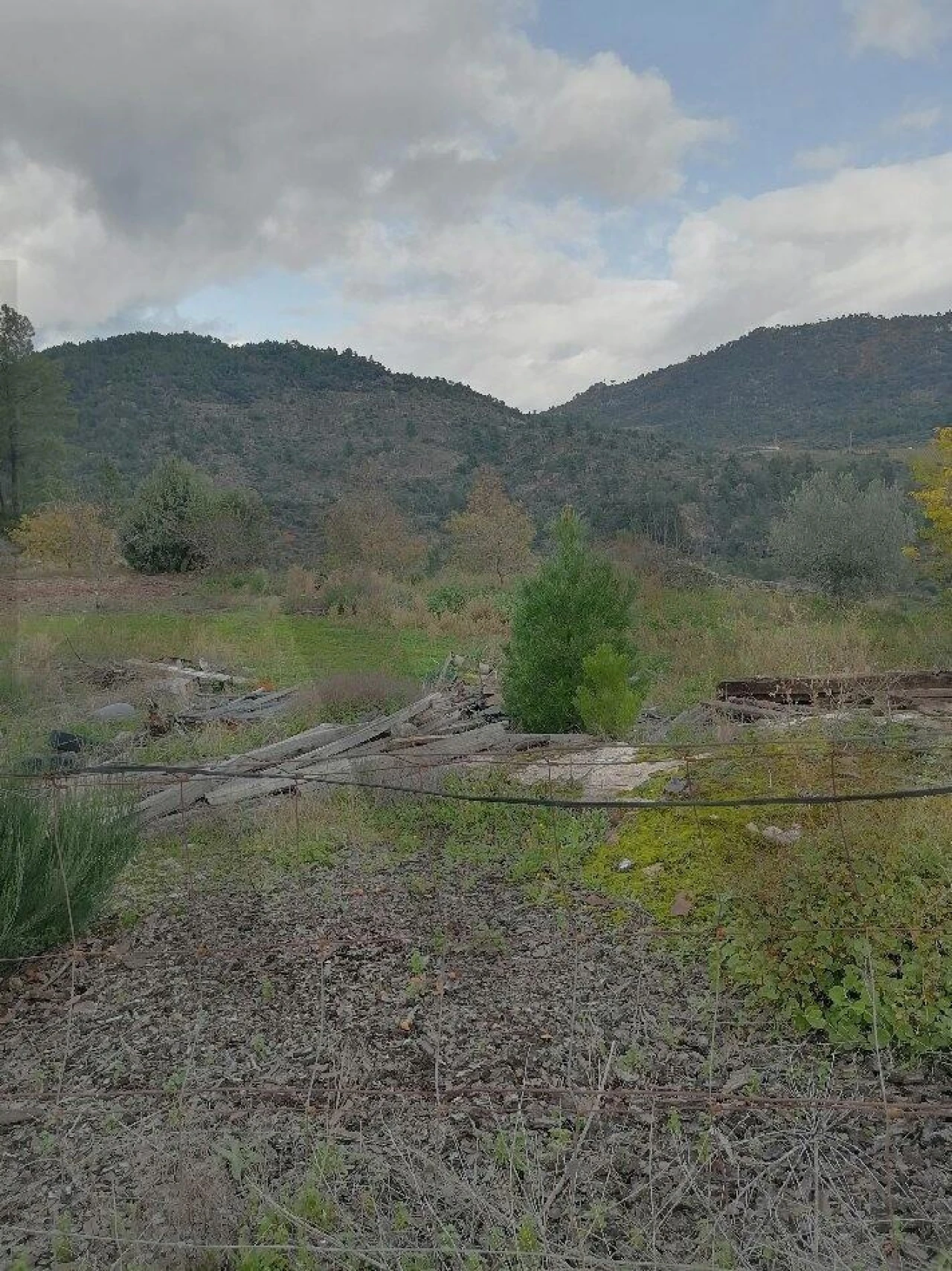 Terreno para Venda em Castanheiro do Norte e Ribalonga Foto 3