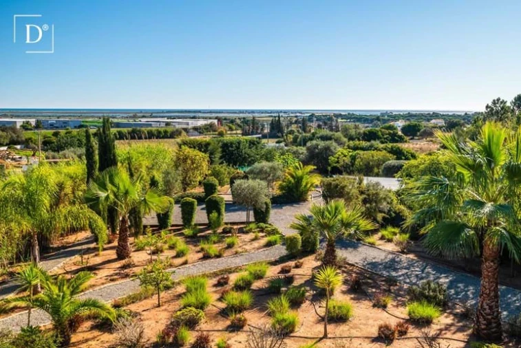 Moradia T4 para Venda em Olhão Foto 44