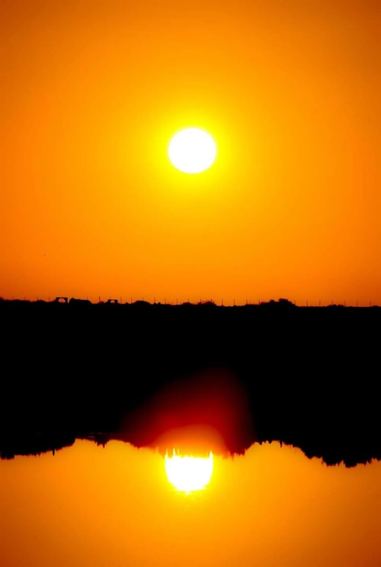 Moradia T2 para Venda em Olhão Foto 32