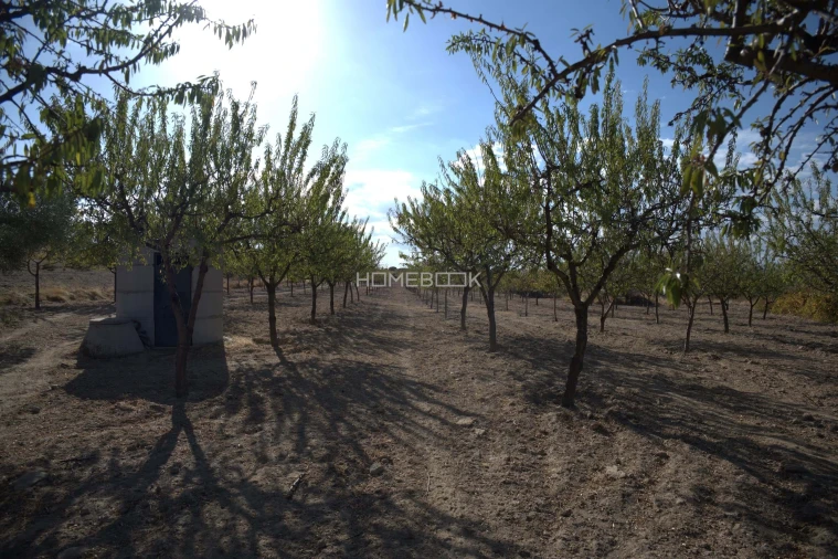 Quinta para Venda em Vale do Côa Foto 39