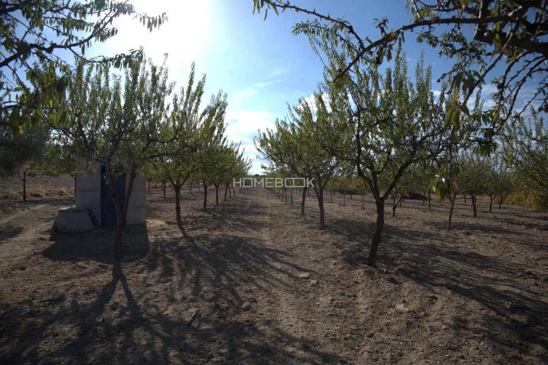 Quinta para Venda em Vale do Côa Foto 39