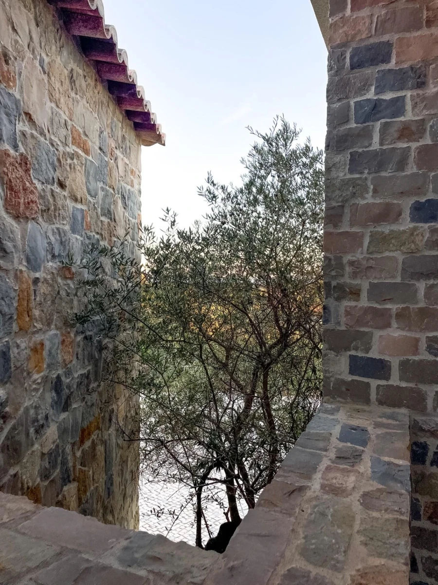 Moradia T4 para Venda em Cachopo Foto 76