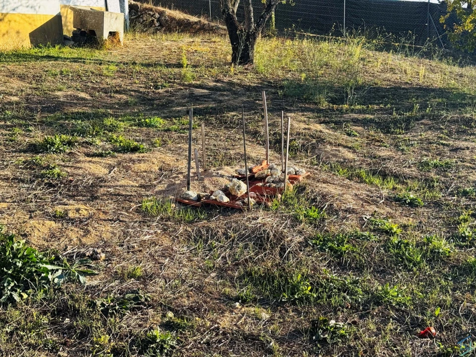 Moradia T3 para Venda em Paialvo Foto 26