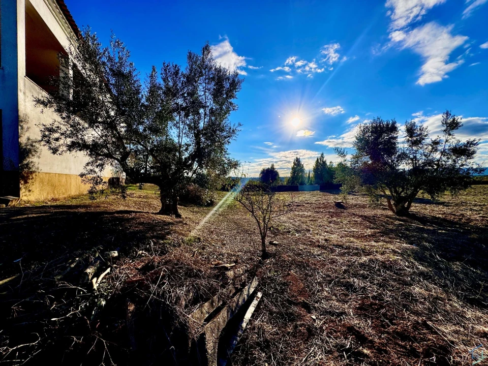 Moradia T3 para Venda em Paialvo Foto 35