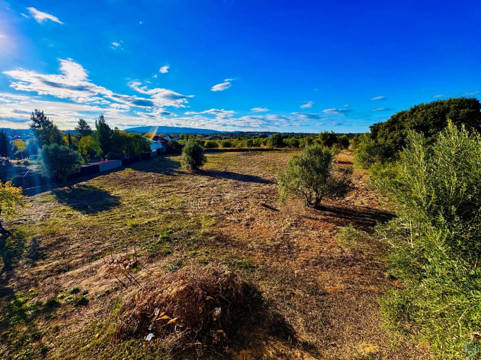 Moradia T3 para Venda em Paialvo Foto 33