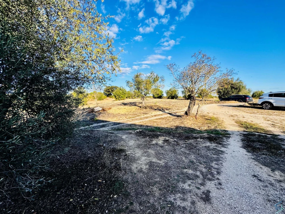 Moradia T3 para Venda em Paialvo Foto 30