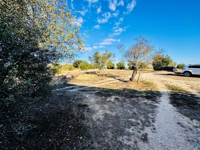 Moradia T3 para Venda em Paialvo Foto 30