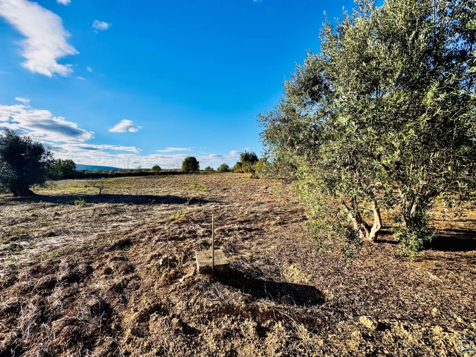 Moradia T3 para Venda em Paialvo Foto 22