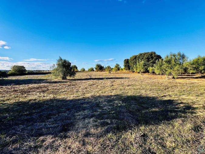 Moradia T3 para Venda em Paialvo Foto 21