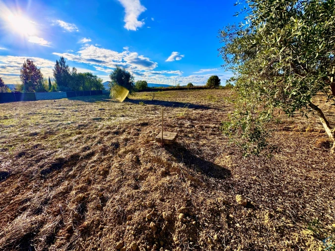 Moradia T3 para Venda em Paialvo Foto 24