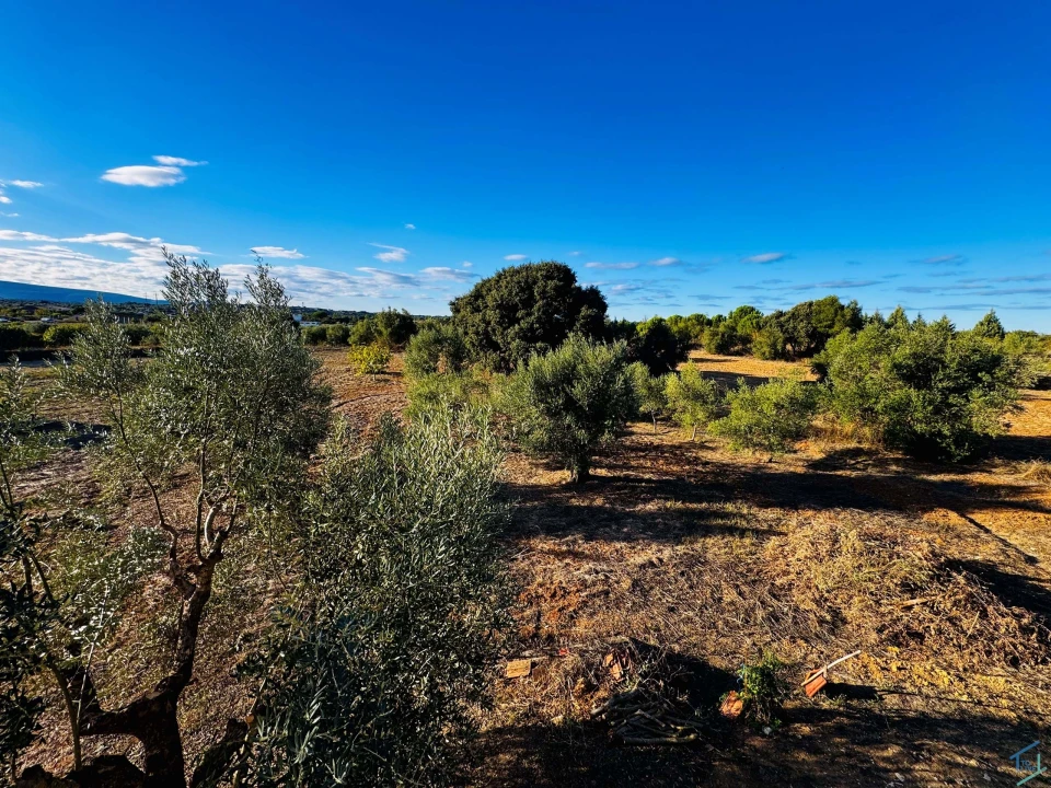 Moradia T3 para Venda em Paialvo Foto 31