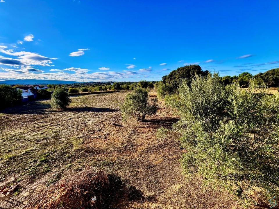 Moradia T3 para Venda em Paialvo Foto 32