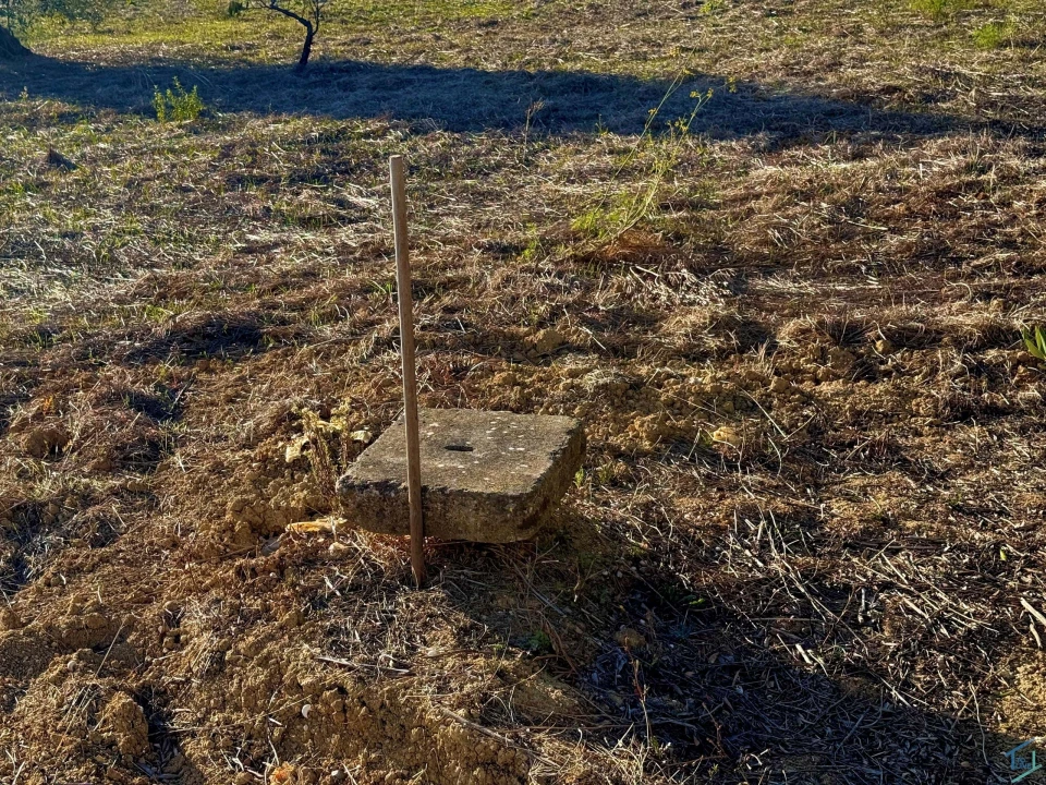 Moradia T3 para Venda em Paialvo Foto 27