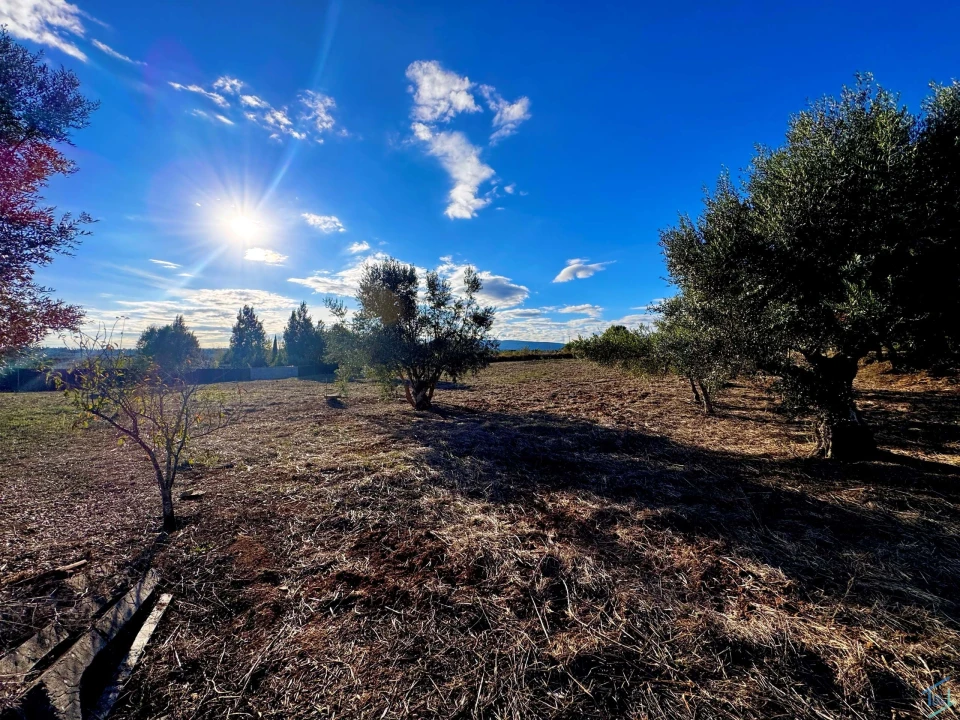 Moradia T3 para Venda em Paialvo Foto 28