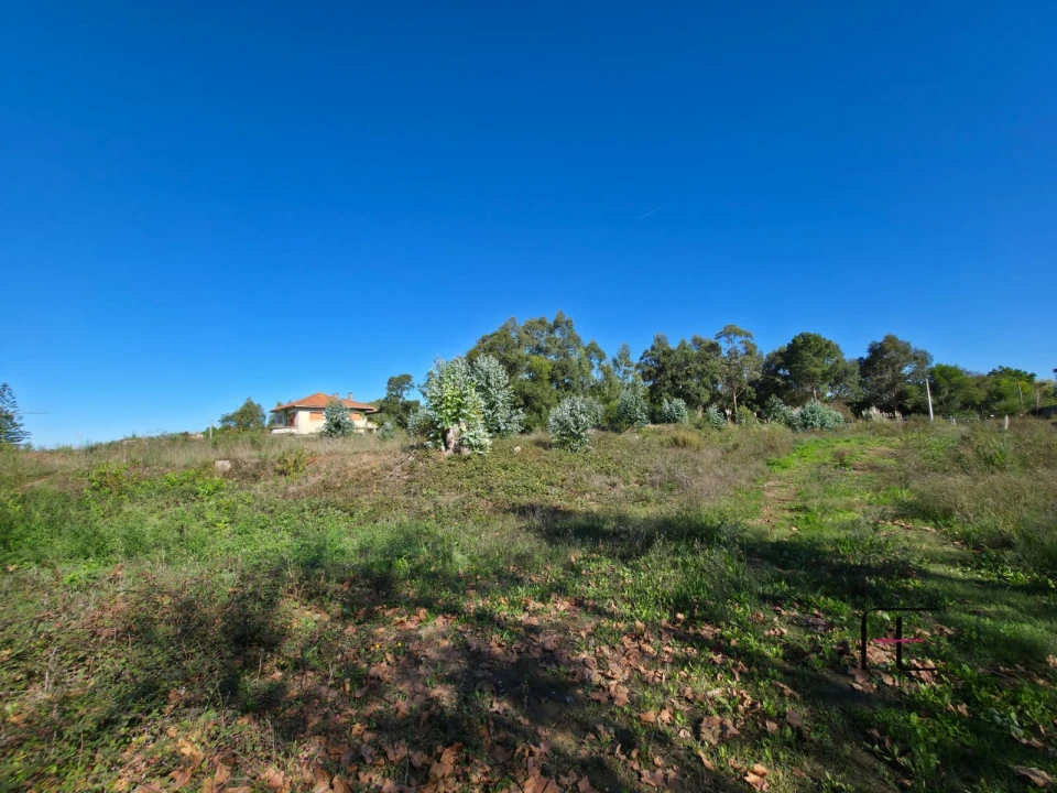 Terreno para Venda em Gulpilhares e Valadares Foto 9