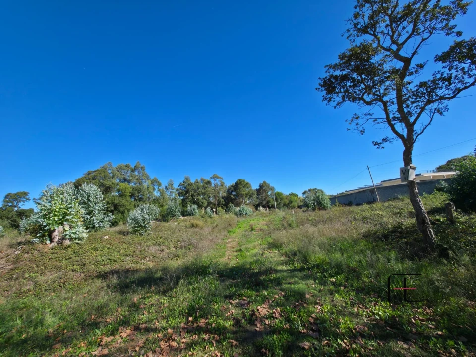 Terreno para Venda em Gulpilhares e Valadares Foto 10