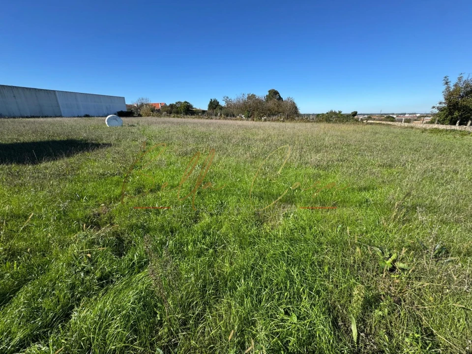 Terreno para Venda em Salreu Foto 1
