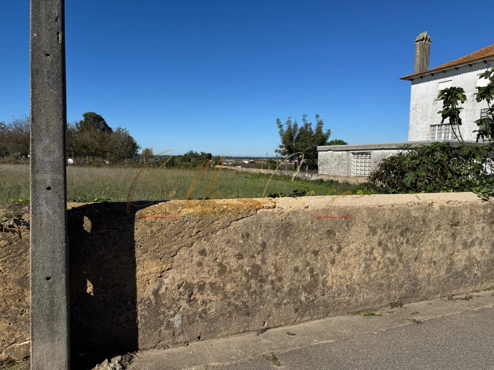 Terreno para Venda em Salreu Foto 4