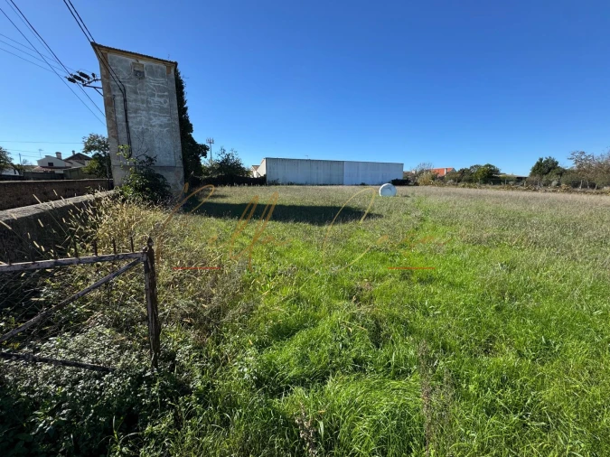 Terreno para Venda em Salreu Foto 2