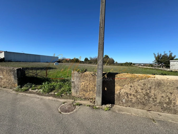 Terreno para Venda em Salreu Foto 3