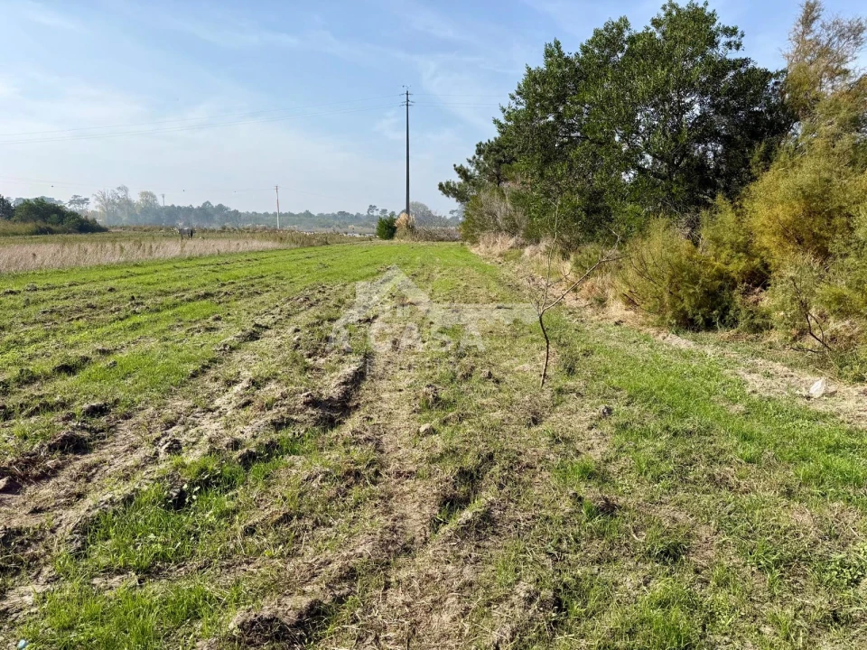 Terreno para Venda em Ovar, São João, Arada e São Vicente de Pereira Jusã Foto 1