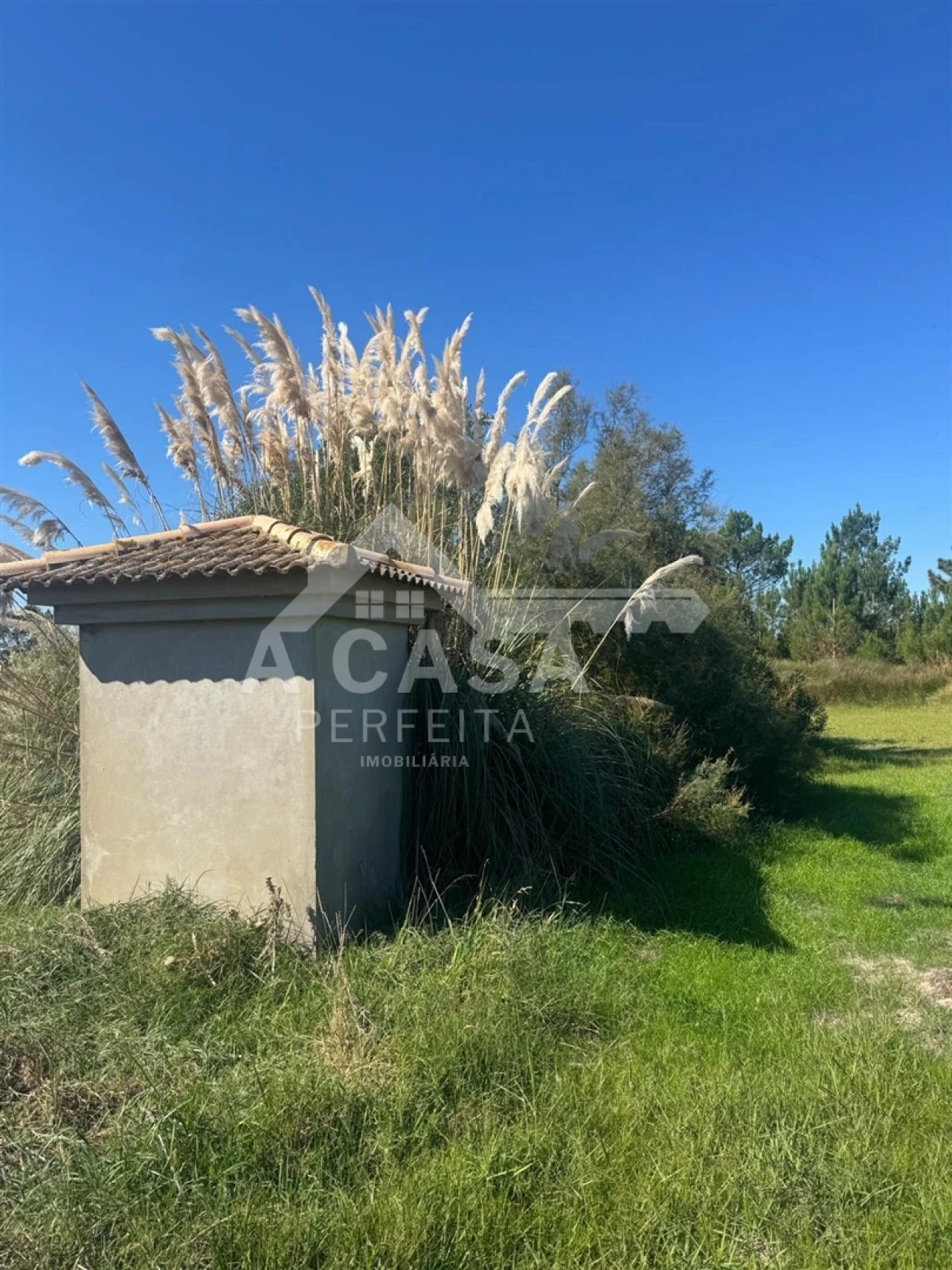 Terreno para Venda em Ovar, São João, Arada e São Vicente de Pereira Jusã Foto 4