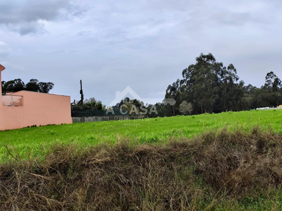 Terreno para Venda em Valega Foto 4