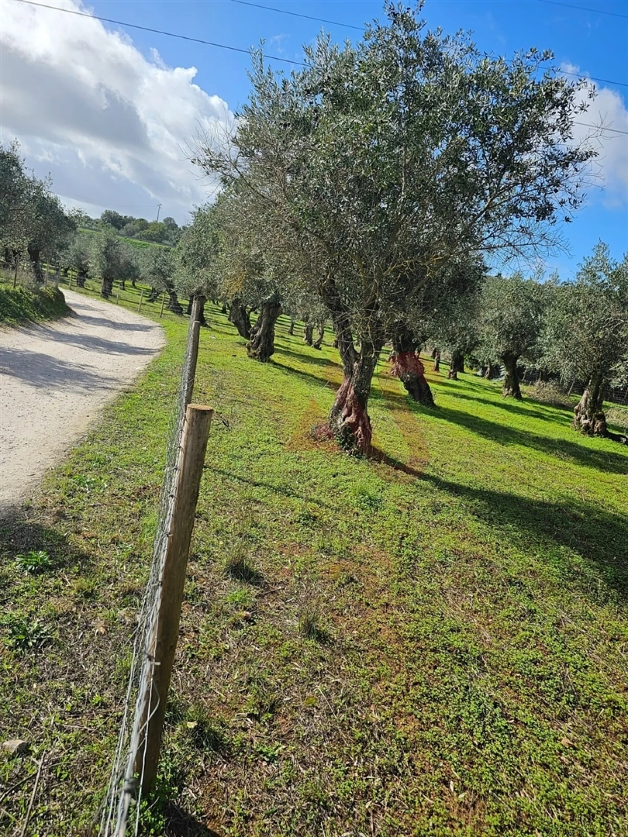 Terreno Agricola ou Rústico para Venda em Nossa Senhora da Conceição e São Bartolomeu Foto 2