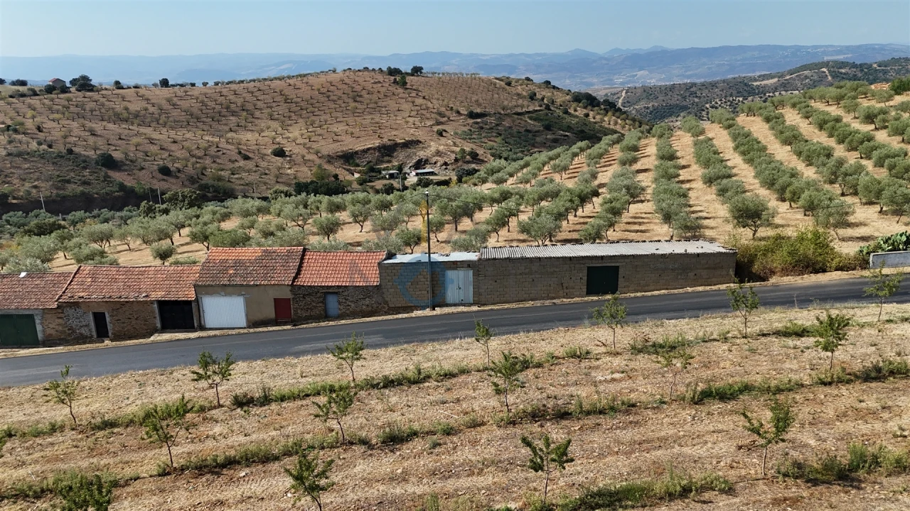 Garagem para Venda em Alfandega da Fe Foto 7