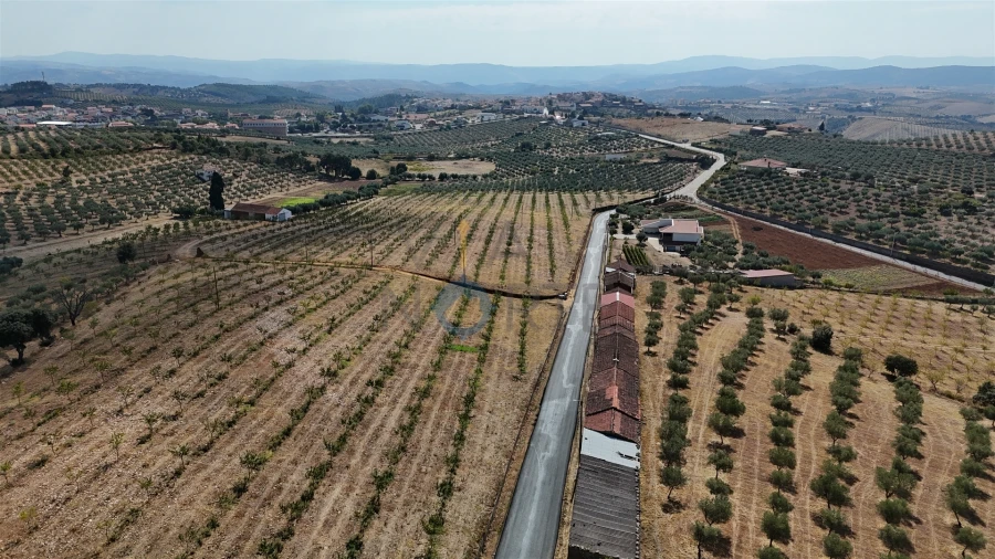 Garagem para Venda em Alfandega da Fe Foto 11