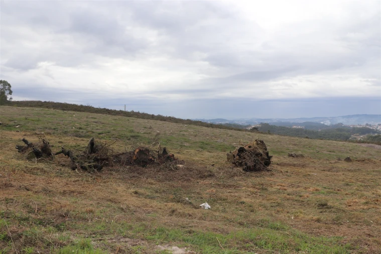 Terreno para Venda em Lustosa e Barrosas (Santo Estêvão) Foto 6