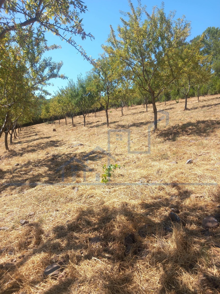 Terreno para Venda em Felgueiras e Maçores Foto 2