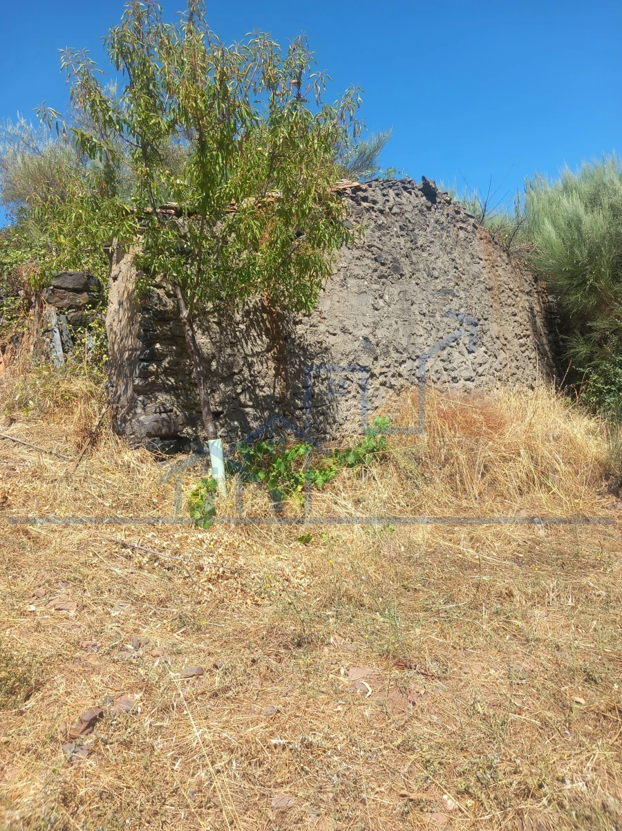 Terreno para Venda em Felgueiras e Maçores Foto 8