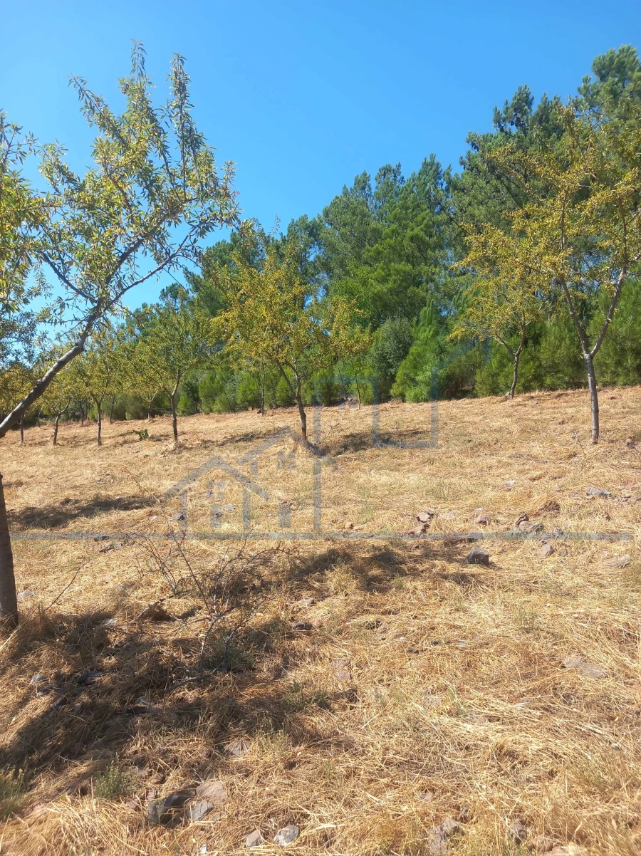 Terreno para Venda em Felgueiras e Maçores Foto 1