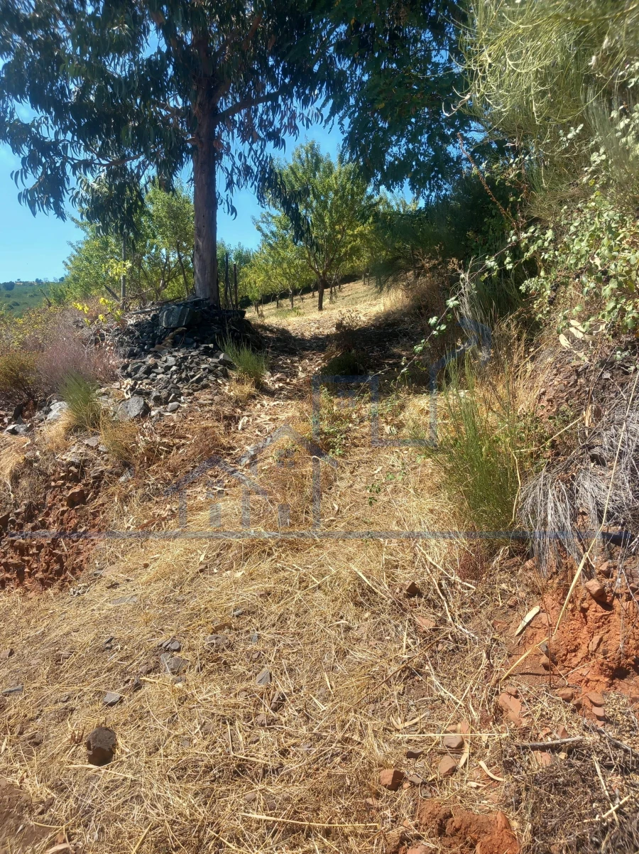Terreno para Venda em Felgueiras e Maçores Foto 3