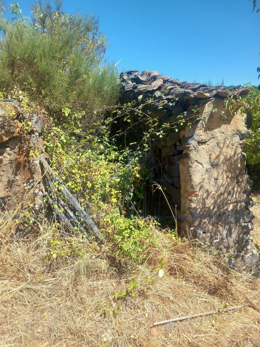Terreno para Venda em Felgueiras e Maçores Foto 7