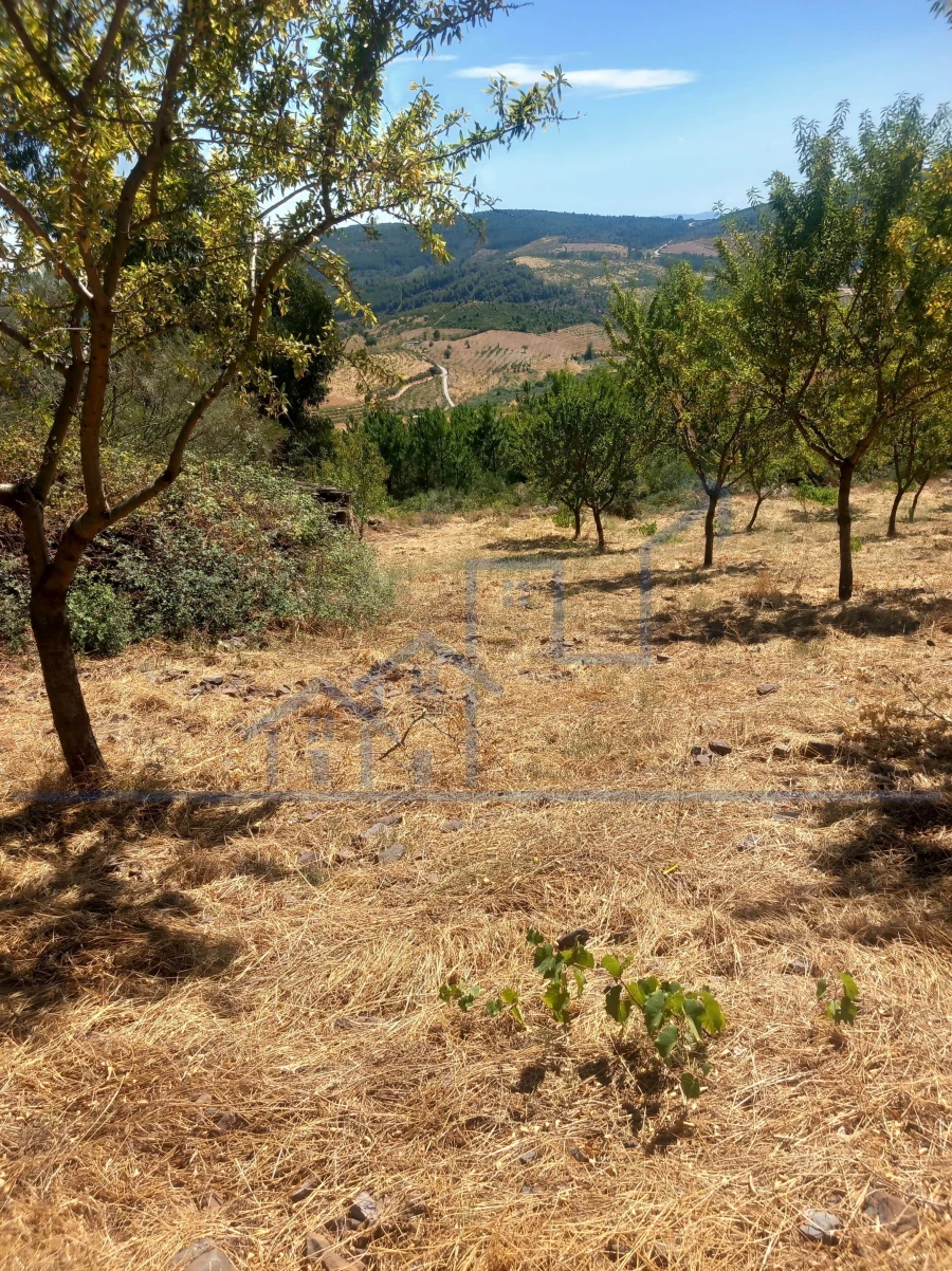 Terreno para Venda em Felgueiras e Maçores Foto 5