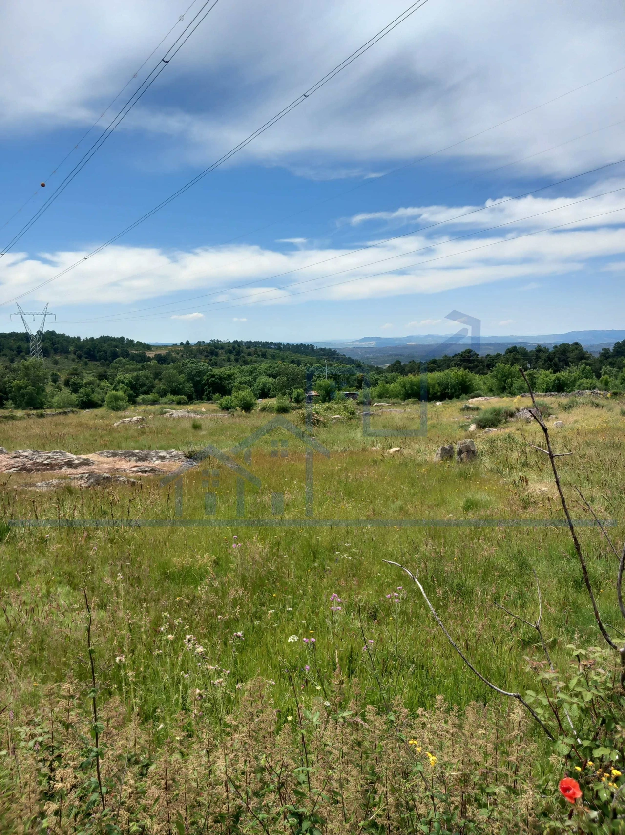 Terreno para Venda em Felgar e Souto da Velha Foto 5