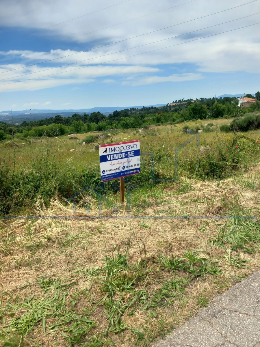 Terreno para Venda em Felgar e Souto da Velha
