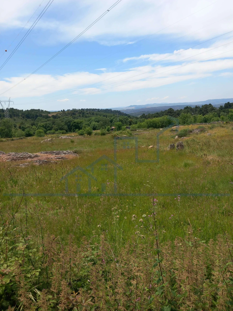 Terreno para Venda em Felgar e Souto da Velha Foto 3