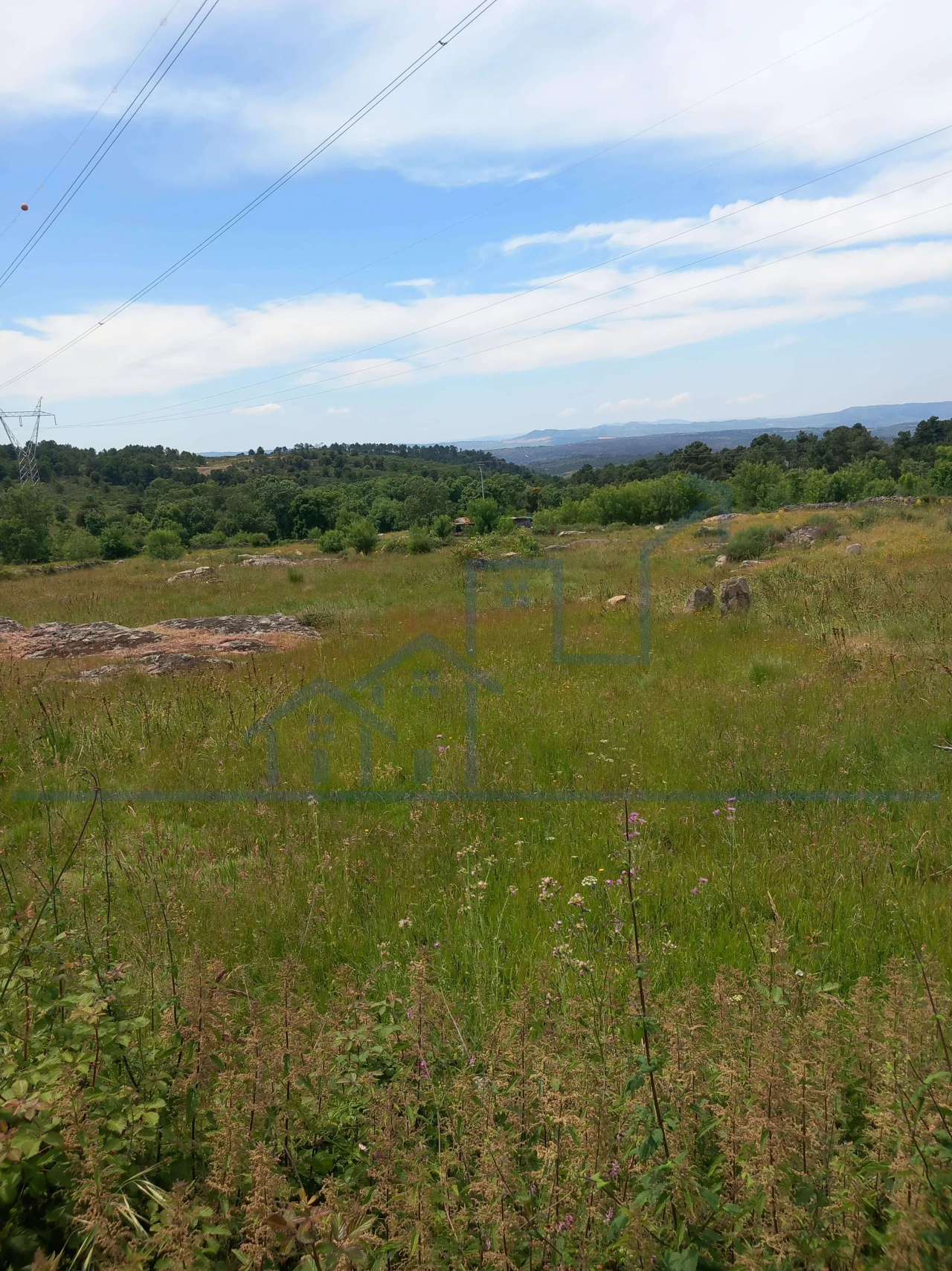 Terreno para Venda em Felgar e Souto da Velha Foto 3