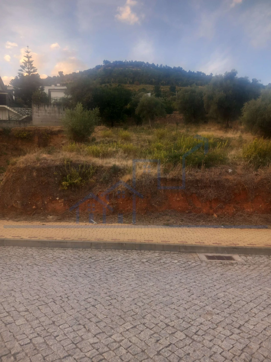 Terreno para Venda em Torre de Moncorvo Foto 6