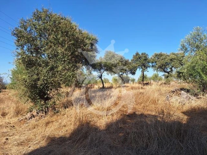 Terreno para Venda em Portel Foto 7