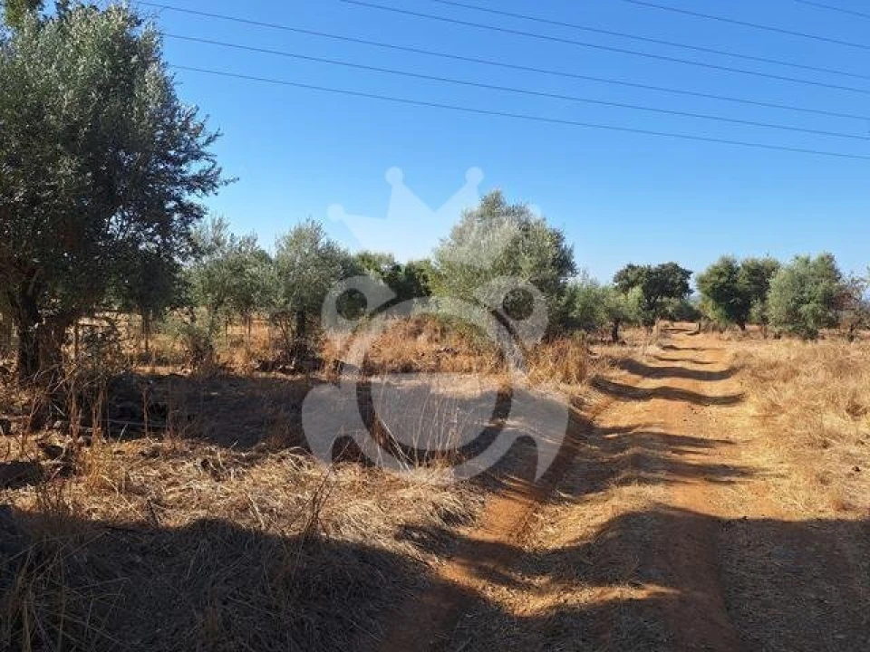 Terreno para Venda em Portel Foto 6