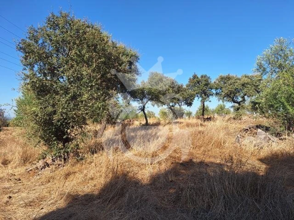 Terreno para Venda em Portel Foto 7
